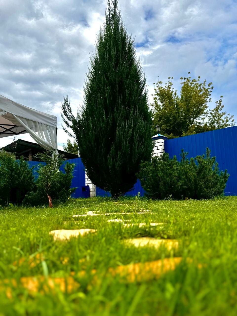 Гостевой дом Парус Тула-234